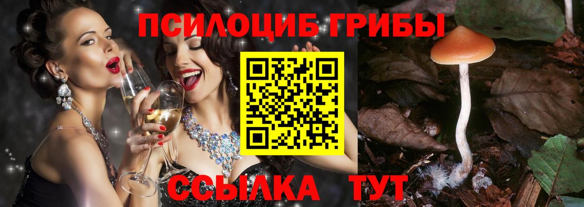 Галлюциногенные грибы ЛСД Ачхой-Мартан