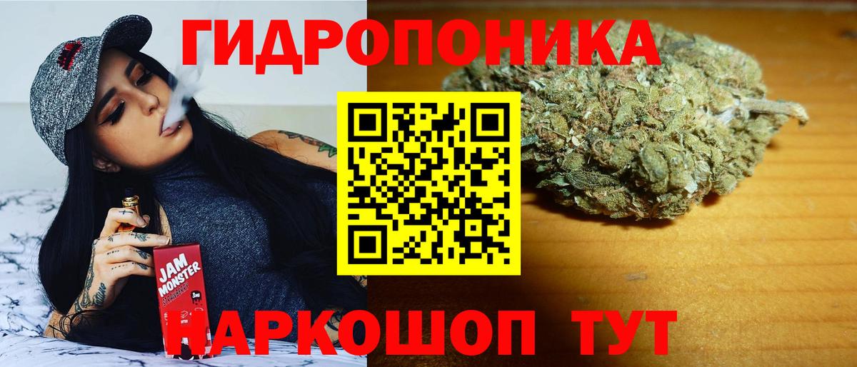 Бошки Шишки OG Kush Ачхой-Мартан